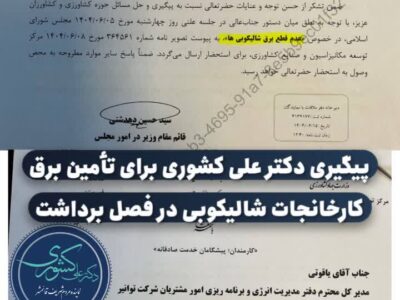 اختلال در فرآوری برنج برطرف شد/ دستور عدم قطع برق کارخانجات شالیکوبی صادر شد