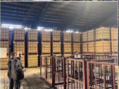 چرخه تولید و توزیع روغن با جدیت دنبال می‌شود