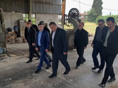 نکاچوب جان تازه گرفت؛ روایت احیای بزرگ صنعت چوب مازندران 