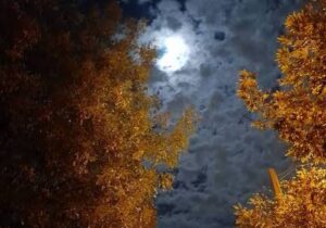 آسمان صاف تا نیمه ابری همراه با شب های سرد پاییزی