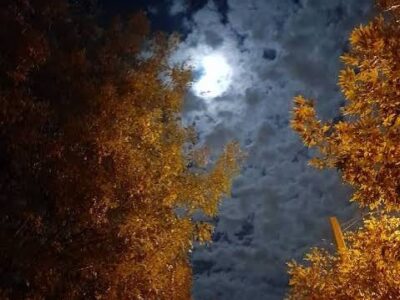 آسمان صاف تا نیمه ابری همراه با شب های سرد پاییزی