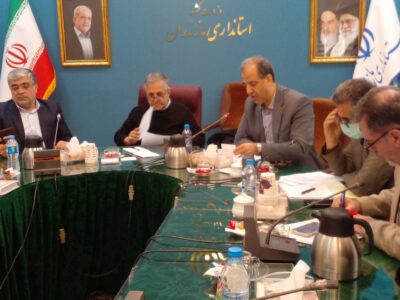 حمایت دولت از تولیدکنندگان آرد به شرط رعایت قوانین و مقررات