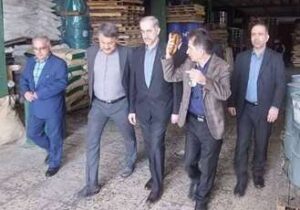 حمایت از صنایع کوچک، اولویت جدی دولت و دستگاه قضا در سال جاری