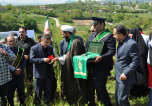۲۲۲ پویش نهالکاری در مازندران؛ ۲۴ هزار اصله نهال در خاک نشست