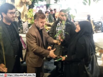 توزیع نهال مثمر در میدان امام حسین(ع) ساری با یاد شهدای جنگ رمضان