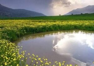 تداوم هوای بهاری با ناپایداری عصرگاهی در مازندران