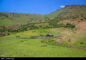 وقتی دامداران بندپی به طبیعت فرصت نفس کشیدن می‌دهند