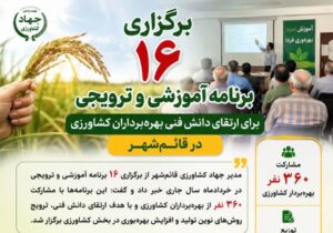 اجرای ۱۶ برنامه ترویجی در قائمشهر با محور ارتقای دانش فنی کشاورزان