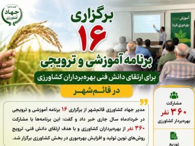 اجرای ۱۶ برنامه ترویجی در قائم‌شهر با محور ارتقای دانش فنی کشاورزان