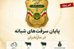 باند سارقان احشام در مازندران متلاشی شد؛ اعتراف به سرقت ۴۰ میلیارد ریالی