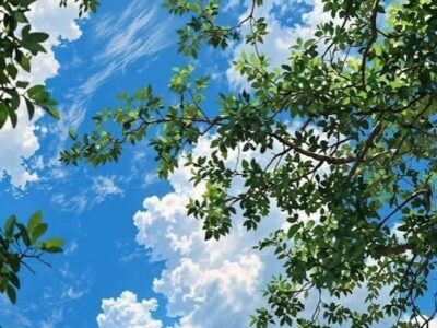 بارش های متناوب و پراکنده تا پایان هفته در مازندران