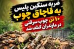 کشف ۱۰ تن چوب قاچاق و سرقتی در مازندران/ ۲ متهم دستگیر شدند