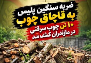 کشف ۱۰ تن چوب قاچاق و سرقتی در مازندران/ ۲ متهم دستگیر شدند