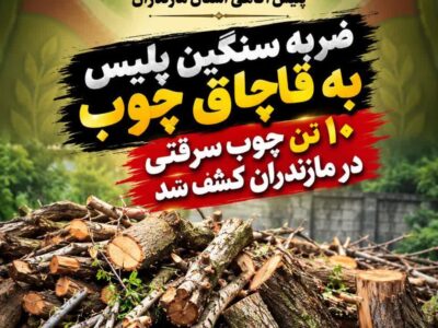 کشف ۱۰ تن چوب قاچاق و سرقتی در مازندران/ ۲ متهم دستگیر شدند